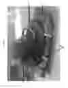 Fig. 08 - DEVICE FOR COVERING AND SECURING ITEMS OR ARTICLES TO A TWO OR THREE-WHEELED VEHICLE