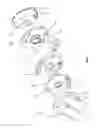 Fig. 02 - Tricycle