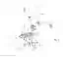 Fig. 19 - Snowmobile