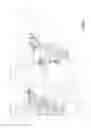 Fig. 02 - Latching device for a movable platform