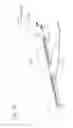 Fig. 15 - Vertical take-off aircraft