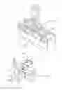 Fig. 24 - Multi-directional roller assembly
