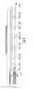 Fig. 04 - Intermittent Dosing