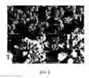 Fig. 09 - Molecular sieve, COK-5, its synthesis and use