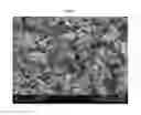Fig. 03 - Process for preparing scalenohedral precipitated calcium carbonate