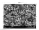 Fig. 04 - Process for preparing scalenohedral precipitated calcium carbonate