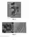 Fig. 03 - Synthesis of metal oxide-based thermoelectric materials for high temperature applications