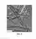 Fig. 05 - Synthesis of metal oxide-based thermoelectric materials for high temperature applications