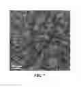 Fig. 07 - Synthesis of metal oxide-based thermoelectric materials for high temperature applications