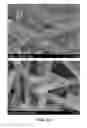 Fig. 14 - Synthesis of metal oxide-based thermoelectric materials for high temperature applications