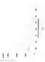 Fig. 04 - Rutile titanium dioxide nanoparticles and ordered acicular aggregates of same
