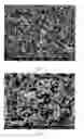 Fig. 05 - Rutile titanium dioxide nanoparticles and ordered acicular aggregates of same