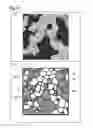 Fig. 10 - Ceramic composition and cutting tool