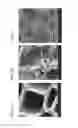 Fig. 03 - Biochars and biochar treatment processes