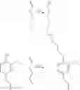 Fig. 20 - Monomers and polymers derived from natural phenols