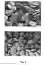 Fig. 02 - METHODS FOR PRODUCING FREE FLOWING DICARBOXYLIC ACID CRYSTALLINE CROPS