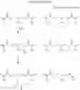 Fig. 02 - MANUFACTURING METHOD OF ESTER COMPOUND