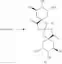 Fig. 22 - Method for manufacturing 3,4,5-tricaffeoylquinic acid