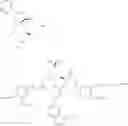 Fig. 30 - Method for manufacturing 3,4,5-tricaffeoylquinic acid