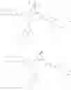 Fig. 47 - Method for manufacturing 3,4,5-tricaffeoylquinic acid