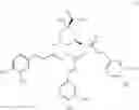Fig. 57 - Method for manufacturing 3,4,5-tricaffeoylquinic acid