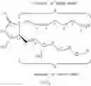 Fig. 03 - Difluorolactam compounds as EP4 receptor-selective agonists for use in the treatment of EP4-mediated diseases and conditions