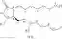 Fig. 04 - Difluorolactam compounds as EP4 receptor-selective agonists for use in the treatment of EP4-mediated diseases and conditions