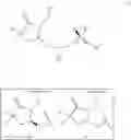 Fig. 14 - Difluorolactam compounds as EP4 receptor-selective agonists for use in the treatment of EP4-mediated diseases and conditions