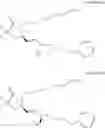 Fig. 339 - Difluorolactam compounds as EP4 receptor-selective agonists for use in the treatment of EP4-mediated diseases and conditions