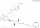 Fig. 398 - Difluorolactam compounds as EP4 receptor-selective agonists for use in the treatment of EP4-mediated diseases and conditions