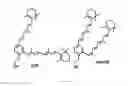 Fig. 02 - Octahydrocyclopentapyrroles, their preparation and use
