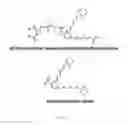 Fig. 03 - Octahydrocyclopentapyrroles, their preparation and use