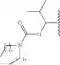 Fig. 291 - Process for synthesizing oxidized lactam compounds