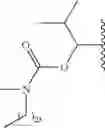 Fig. 303 - Process for synthesizing oxidized lactam compounds