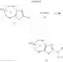 Fig. 18 - Substituted 1,3-thiazoles as heat shock transcription factor 1 activators