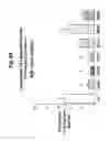 Fig. 15 - Furanyl-imine and thiofuranyl-imine compounds for stabilizing ryanodine receptors from aberrant levels of calcium release