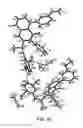 Fig. 49 - SALTS AND SOLID FORMS OF ISOQUINOLINONES AND COMPOSITION COMPRISING AND METHODS OF USING THE SAME