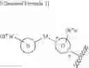 Fig. 06 - Heterocyclic ring and carbocyclic derivative