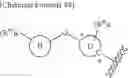 Fig. 102 - Heterocyclic ring and carbocyclic derivative