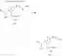 Fig. 109 - Heterocyclic ring and carbocyclic derivative