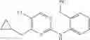 Fig. 27 - Heterocyclic ring and carbocyclic derivative