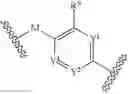 Fig. 661 - Heterocyclic ring and carbocyclic derivative