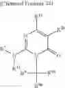 Fig. 85 - Heterocyclic ring and carbocyclic derivative