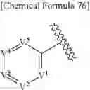 Fig. 87 - Heterocyclic ring and carbocyclic derivative