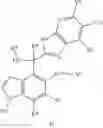Fig. 19 - Complement factor B inhibitors and uses there of