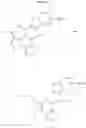 Fig. 20 - Complement factor B inhibitors and uses there of