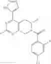 Fig. 173 - P2X7 modulators