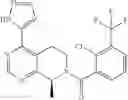 Fig. 198 - P2X7 modulators
