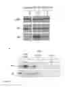 Fig. 23 - COMPOUNDS AND METHODS FOR TREATING CANCERS
