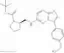 Fig. 197 - IMIDAZO[1,2-b]PYRIDAZINE-BASED COMPOUNDS, COMPOSITIONS COMPRISING THEM, AND METHODS OF THEIR USE